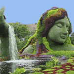 'One Health' Is A Cult Based On Gaia Worship, Wicca, Neo-Paganism Screenshot 2024-05-10 at 9.14.54 AM